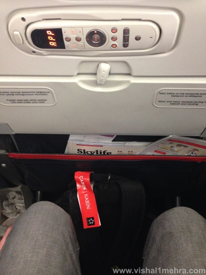 Turkish Airlines A321 - Economy Legroom